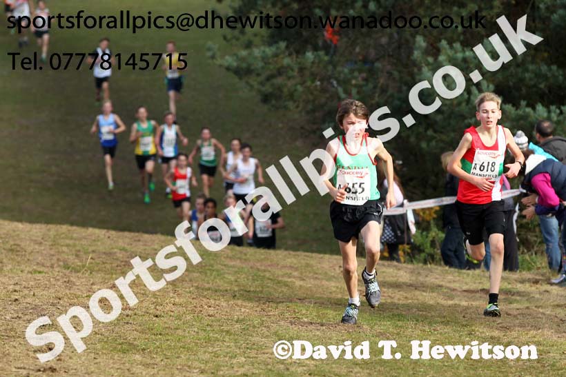 Boys under-13s, National Cross Country Relays, Berry Park, Mansfield. Photo: David T. Hewitson/Sports for All Pics